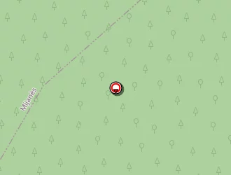 Carte de Marti à Pla (le)