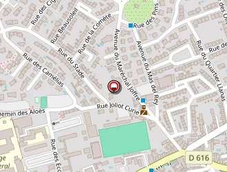 Carte de Ludi Pizz à Saint-estève