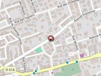 Carte de Saurel Didier à Saint-estève