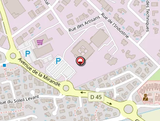 Carte de Ibgui Christiane à Saint-estève