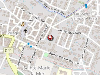 Carte de Mesplomb Guy à Sainte-marie