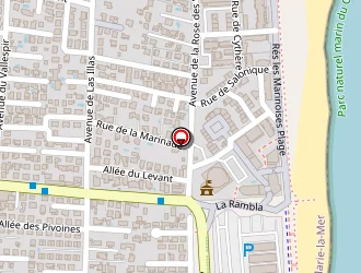 Carte de Mailhe Jean-patrick à Sainte-marie