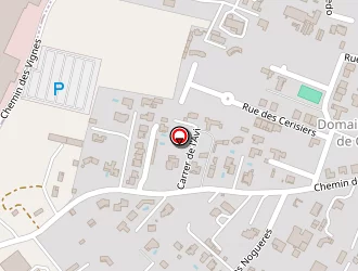 Carte de Iris Tech à Perpignan