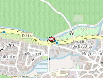 Carte de Gonzalez Eric à Peyrestortes