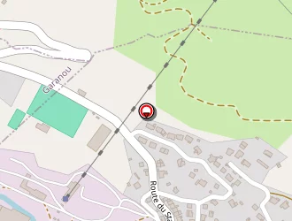 Carte de Fraisse Patrick à Luzenac