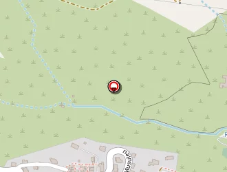 Carte de Ponticaccia Didier à Brando