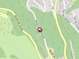 Carte de Saveurs Et Bibelots à Ustou