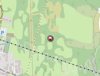 Carte de La Poste à Loudenvielle