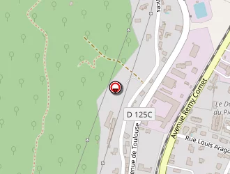 Carte de Mur Louis à Bagnères-de-luchon