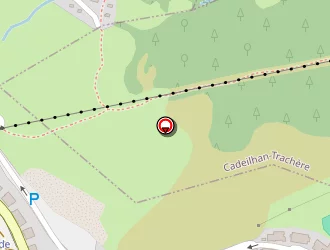 Carte de P.l.p à Saint-lary-soulan