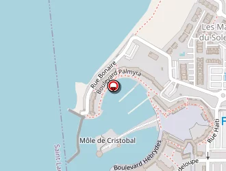 Carte de Bur Michel à Barcarès (le)