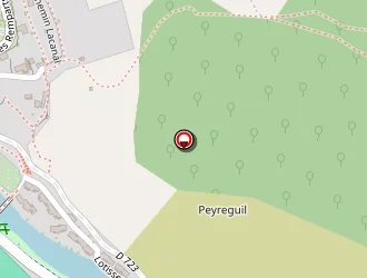 Carte de Stade De L'ayroule à Tarascon-sur-ariège