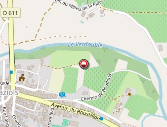 Carte de Pla Régine à Paziols