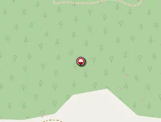 Carte de La Poste à Biert