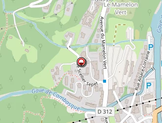 Carte de La Poste à Cauterets