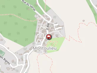 Carte de Long Noël à Montoulieu