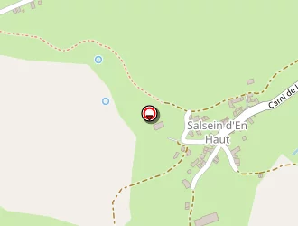 Carte de Mairie à Salsein