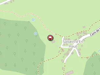 Carte de Goulesque Eric à Salsein