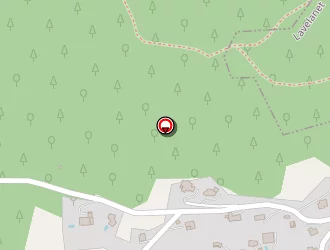 Carte de Chacon Marçel à Péreille