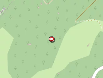 Carte de Grand Cru à Augirein