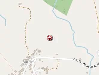 Carte de Prault Davy à Brassac