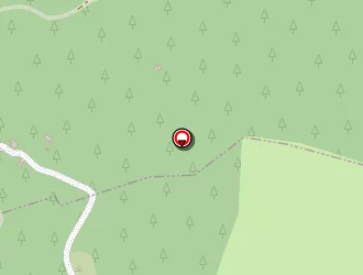 Carte de Palmas Sylvie à Brassac