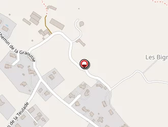 Carte de Peloffi Denis à Foix