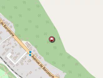 Carte de Lautier Pneus à Foix