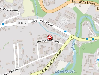 Carte de Berdeil Alain à Foix