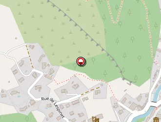 Carte de Association Chelidoine à Foix