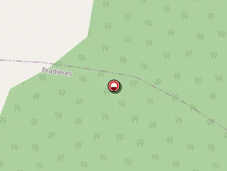 Carte de Sire Robert à Pradières