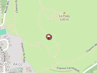 Carte de Coussirat Etienne à Accous