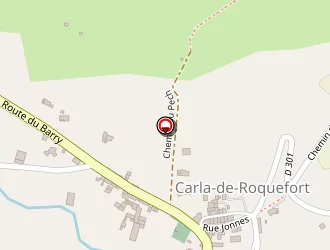 Carte de Pirès Manuel à Carla-de-roquefort