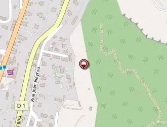 Carte de Stop Guêpes Et Frelons à Foix