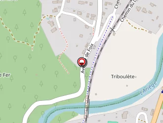 Carte de Institut Protestan Saverdun à Foix