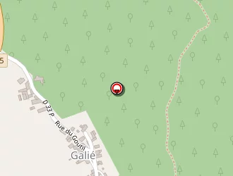 Carte de Marty Sylvain à Galié