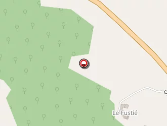 Carte de Testeguide Roxane à Saint-martin-de-caralp