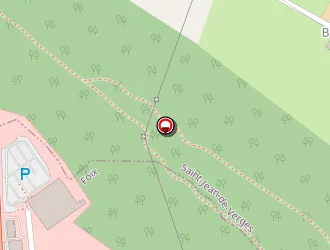 Carte de Buffalo Grill à Foix