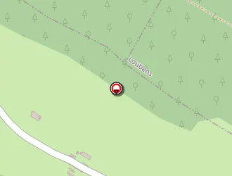 Carte de Bridel Mathieu à Baulou