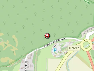 Carte de Sas Pneus Du Pibeste à Agos-vidalos