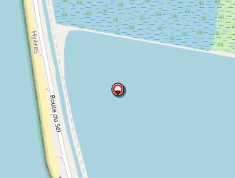 Carte de Les Salinas à Hyères