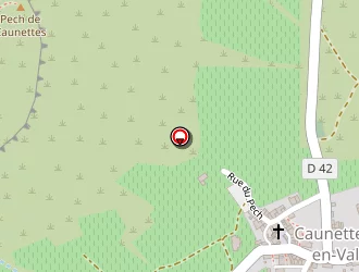 Carte de Olivier Thibault à Caunettes-en-val