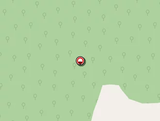 Carte de M.p. Bois à Benagues