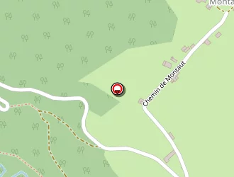 Carte de Dupuy Henri (ent) à Betchat