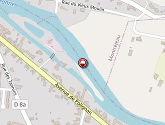 Carte de Mc Donald's à Gourdan-polignan