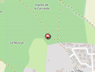 Carte de Sarda Charles à Tournissan