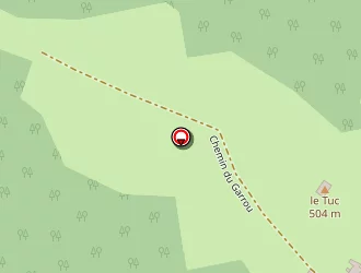 Carte de Pilon Christian à Betchat