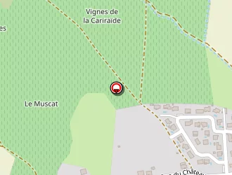 Carte de Roux Didier à Tournissan