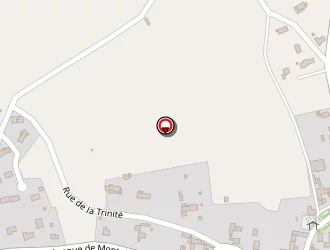 Carte de Pointis Georges à Ausson