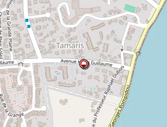 Carte de Dhm à Seyne-sur-mer (la)